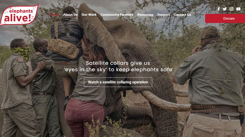 Elephants Alive Web Design Project
